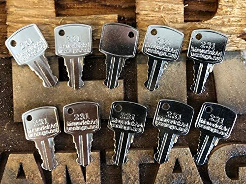 Keys for Snorkel 8080210 Equipment "231" (10)