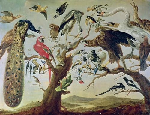 Affiche le Concert des Oiseaux Frans Snyders décoration salon tableau toile 60x90