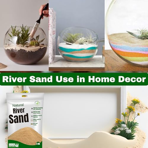 Image of Organic Natural River Sand for Plants Gardening | River Sand for Aquarium | River Sand for Kids Play |Pure Organic Plants Soil Mix Additive Adenium Cactus Succulent Bonsai| Home Decor Sand (20)