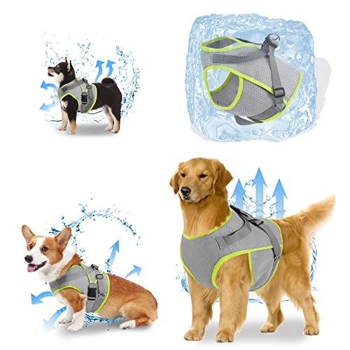 oUUoNNo Harnais de refroidissement pour chien, gilet de refroidissement pour chien avec anneau en D, entraînement (taille S, gris) Cover