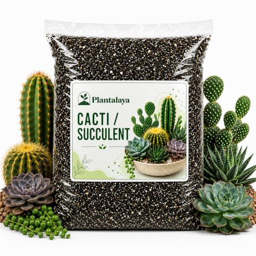 Cacti & Succulent Potting Mix Fast Draining Soil Blend for Cactus Succulents Aloe Vera Echeveria Haworthia & Jade Plants Premium Growing Medium for Healthy Roots (1 Litre)