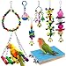 AK KYC Juego de 8 juguetes para loros de pájaros, columpio para masticar, hamaca para pequeños periquitos, cacatúas, loros, pájaros, alas