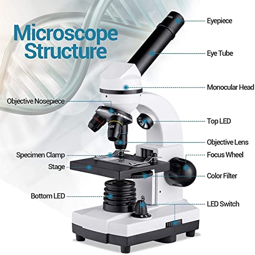 Microscopio digital infantil 1600x compuesto con doble luz LED y adaptador móvil para escuela 5