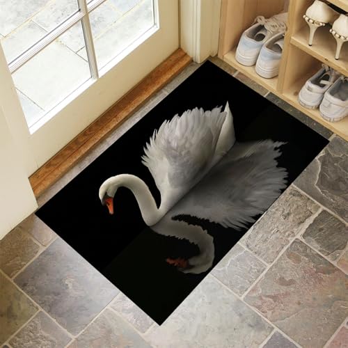 Paillasson Extérieur Intérieur Tapis de Cuisine Antidérapant Noir