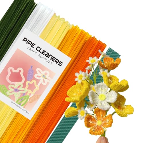 |[ [ J[~bNX 270{ 20{̃t[bh ԃZbg J[[ Ntg[ H샂[  t[ C[ i[ C[A[g JtȑiA`ޗAwZpHޗANX}Xc[̑CLO a