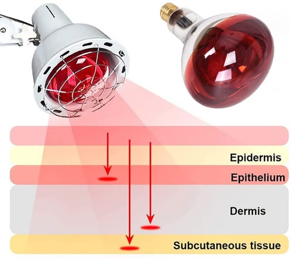 LáMpara De Infrarrojos Fisioterapia, Hornear EléCtrica Tornillo Boca Bombilla De Luz Infrarroja Lejana, SalóN De Belleza En Casa Especial De Luz Roja Dios LáMpara