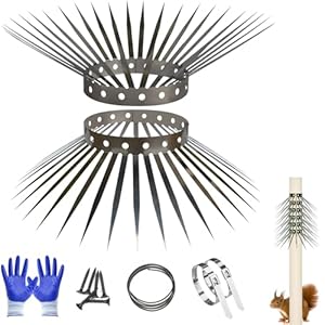 Whcdstgj Bird Spikes Eichhörnchenschutz-Set 101,6 cm