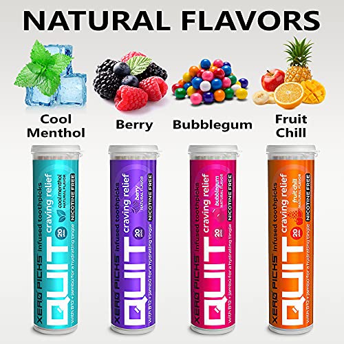 Image of Xero Picks Infused Flavored Toothpicks to Help Quit Smoking - Nicotine Free - 60 Picks (3 Packs) (Cool Mint) Non-GMO Kosher Vegan