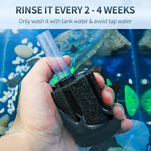 Image of Pawfly Aquarium Sponge Filter, Small Fish Foam Filter with Tubing Suction Cup Check Valve Connector and Control Valve Accessories for Betta Fry Shrimp Tiny Fish Tank up to 10 Gallons