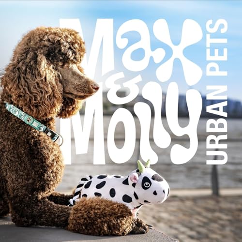 Max & Molly Matrix 2.0 Ultra LED, Hundelicht für Geschirr, Leine & Halsband, Schwarz, Wasserfest, USB Wiederaufladbar, Hundelampe LED, Hunde Leuchtanhänger für mehr Sicherheit bei Nacht