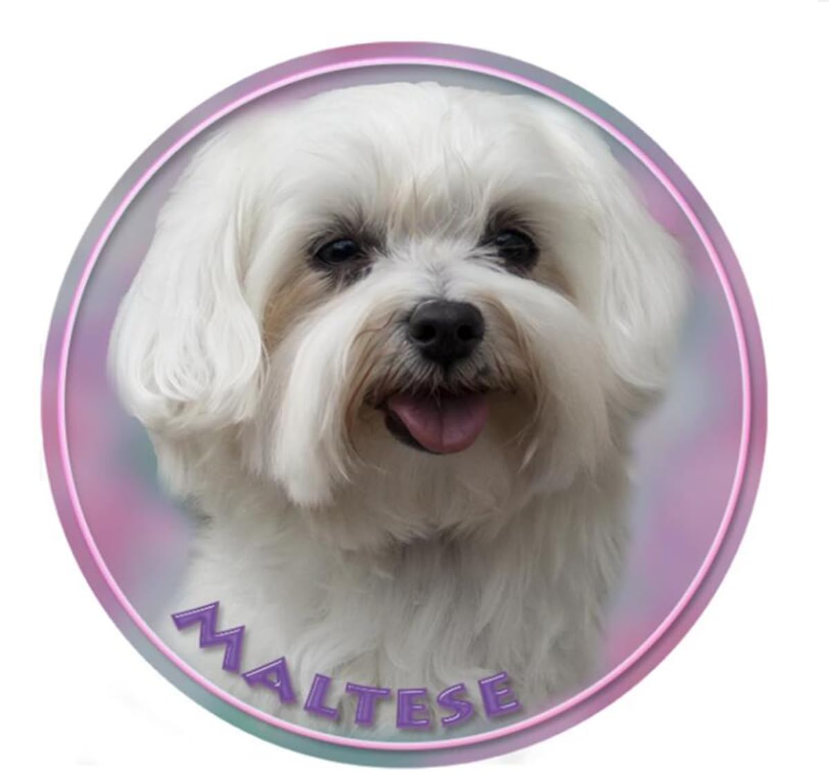 Autoaufkleber Jack Russell Terrier Aufkleber 15cm(5.9 Inch)