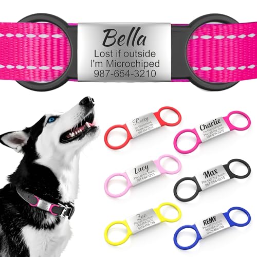 Collares Gatos Elasticos Marca WASHNN