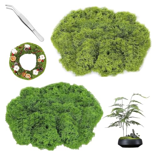 100g Musgo Artificial Decoracion, Musgo Artificial de Plástico para Plantas Verdes, Musgo Natural Preservado Plantas, para Macetas, Manualidades, Decoración de Jardín, Uso en Interiores y Exteriores