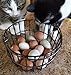 Handmade Metal Egg Basket for Storage – Available in Small, Medium, Large, and XL – Rustic Design for Kitchen, Pantry, or Farmhouse Decor (M)