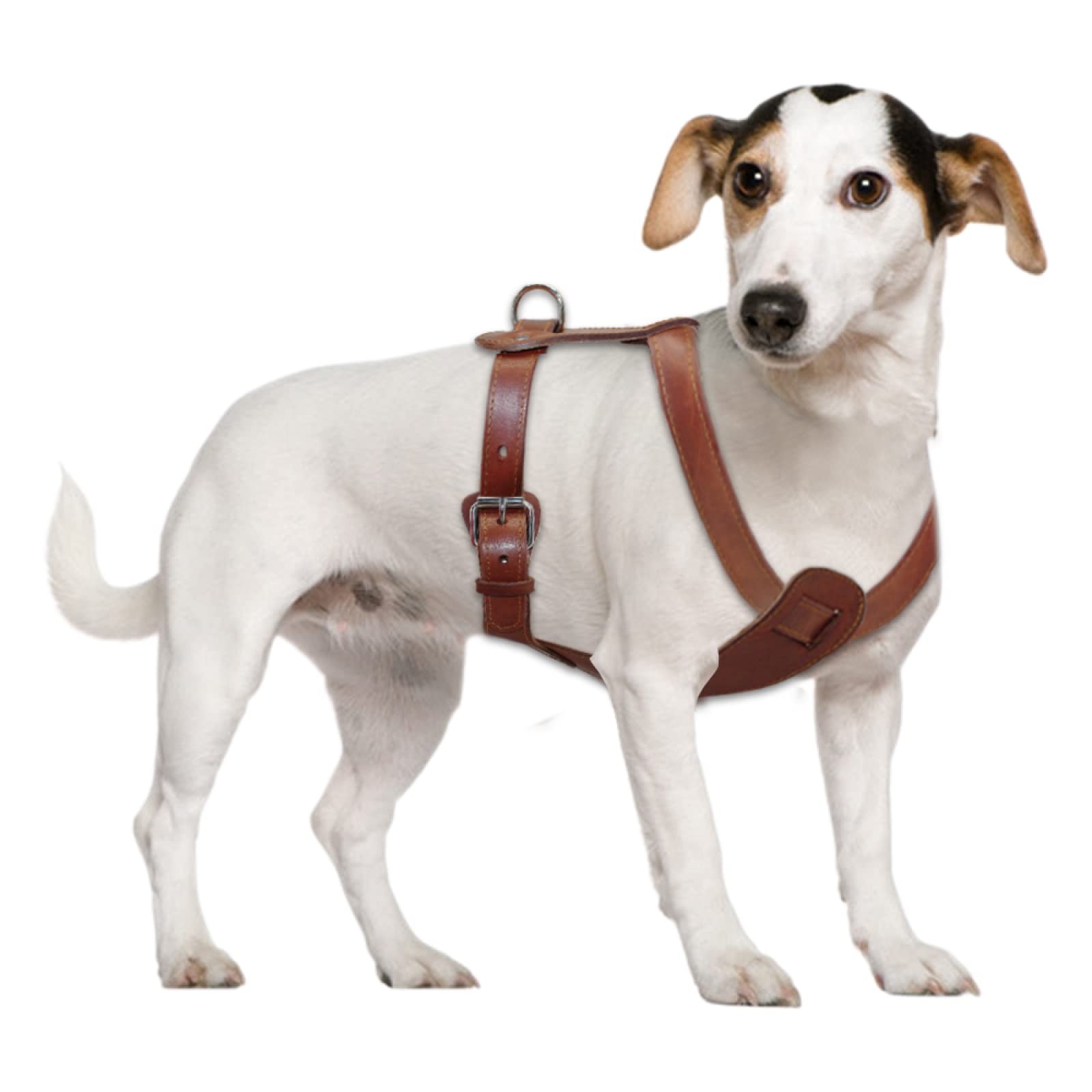 Outdoor-Geschirr Aus Echtem Leder, Verstellbares Hundegeschirr, Weste Für Hunde, Mittelgroße Bis Große Bulldogge, Labrador, Deutscher Schäferhund, Braun,Braun,L