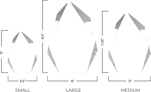 Miniatura 7 de Personalized Engraved Appreciation Award Plaque Trophy Unique Personalization for Boss, Employee, Manager, Board Member, Coach, Retirement Unique