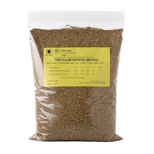 R&R SHOP - Semillas para Césped, Trébol Enano Trifolium repens, no requiere Siega, Transitable y Cubresuelos (200g – 50m²)