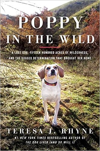 Poppy in the Wild: A Lost Dog, Fifteen Hundred Acres of Wilderness, and the Dogged Determination that Brought Her Home book cover