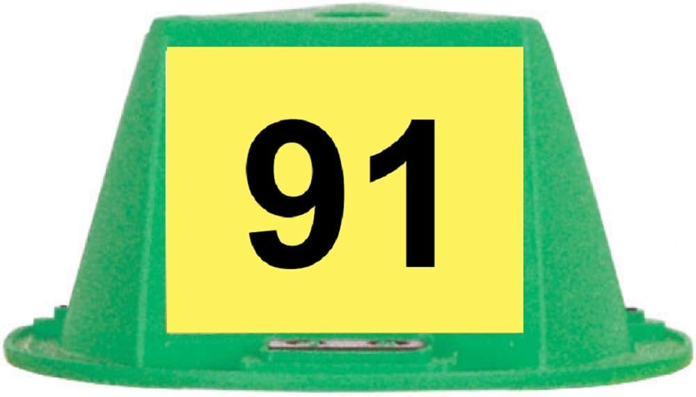 Magnetic Roof Toppers - Magnetic Car Top Hats - Set of 10 - with Numbering (Green - Numbered 1-10)