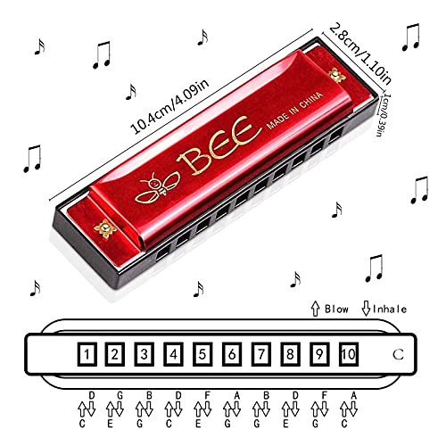 Lot de 2 pièces d’harmonica, jouets en harmonica, harmonica, do-majeur, convient au blues, à 10 trous, pour enfants/débutant, rouges - Les Beatles, Paul McCartney, John Lennon, RIngo Starr, George Harrison Lot de 2 pièces d’harmonica, jouets en harmonica, harmonica, do-majeur, convient au blues, à 10 trous, pour enfants/débutant, rouges – Image 3