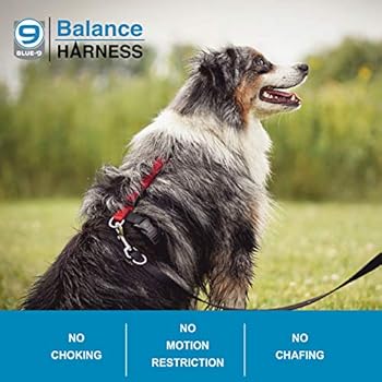 balance harness amazon