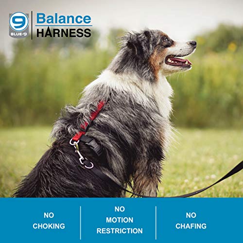 Blue-9 Buckle-Neck Balance Harness, Fully Customizable Fit No-Pull Harness, Ideal for Dog Training and Obedience, Made in The USA, Red, Medium/Large
