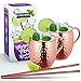 LACARI Moscow Mule Tazas 2pc | Set increible Que Incluye Dos Tazas de Cobre y Dos pajitas con una Capacidad de 470 ml | Mula de Moscú Taza de Cobre | con E-Book de Moscow Mule