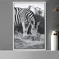 Framed Canvas Wall Art Duotone Zebra Animals Black and White Chic Duotone Expressive Grey Living Room Photography Zebra - 16x24 inches