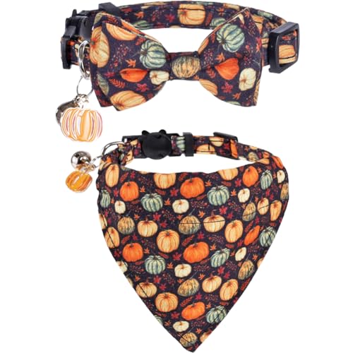 H̔L̎ Ӎ lN^Co_iƃxt H̋x qL̂߂̒߉\ȈS