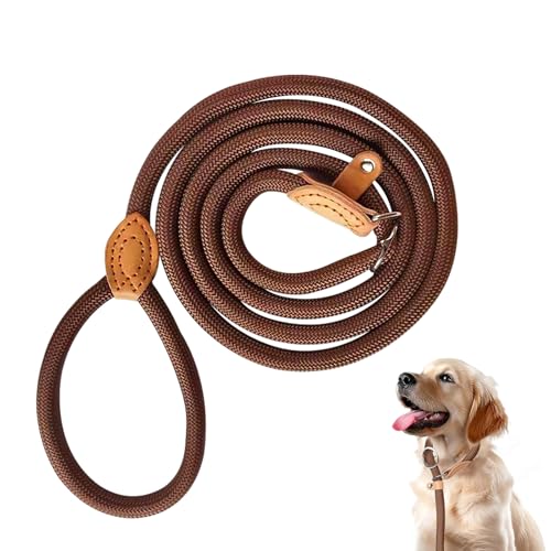 Laisse retriever avec stoppeur de traction, 180 cm de long, 1,4 cm de large, laisse réglable pour chien avec coutures réfléchissantes, collier anti-traction pour...