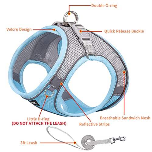 Aiitle Step In Dog Harness And Leash Set - No Pull Escape Proof Vest Harness With Soft Mesh And Reflective Bands, Adjustable Pet Outdoor Harnesses For Small And Medium Dogs Blue M #TOP4