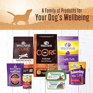   Wellness-Natural-Pet-Food-95-Beef-Natural-Wet-Grain-Free-Canned-Dog-Food-132-Ounce-Can-Pack-of-12