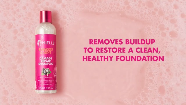 Amazon.com : Mielle Organics Babassu & Mint Damage Repair Hair