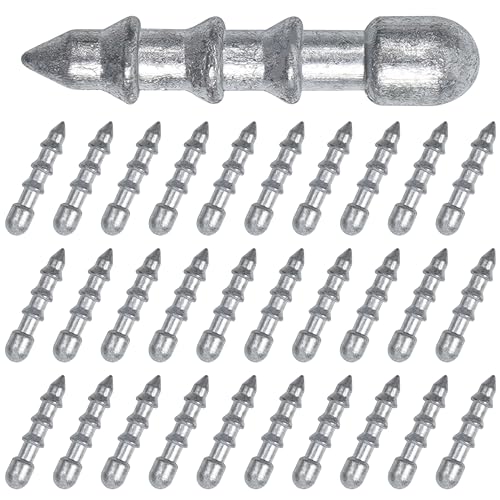 SILANON Fishing Nail Weights Kit,30pcs Wacky Worm Weights Insert Sinkers Fishing Weights Nail Sinker Weights for Soft Worm Lures Neko Rig Wacky Rig Bass Fishing 1/25oz