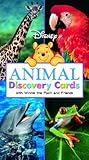 Disney: Animal Discover Cards
