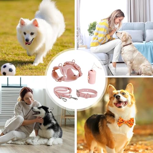 Harnais de chien ensemble avec collier réglable et plomb multifonction pour petits chiens