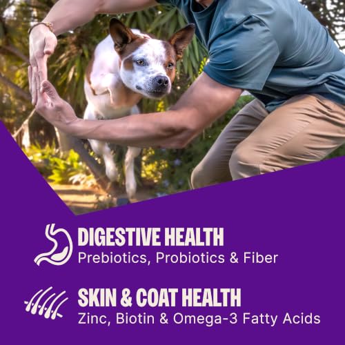 Image of Wellness CORE+ Large Breed Adult Dry Dog Food with Freeze Dried Pieces, Wholesome Grain Kibble+, Natural, High Protein, Chicken and Turkey Recipe, 20 lb Bag