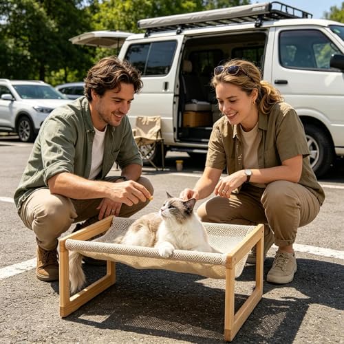 Lit surélevé pour chien intérieur extérieur avec canapé détachable
