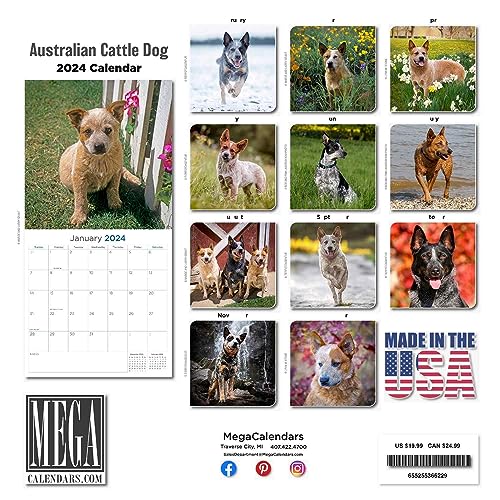 Australian Cattle Dog Calendar 2024 Dog Breed Wall