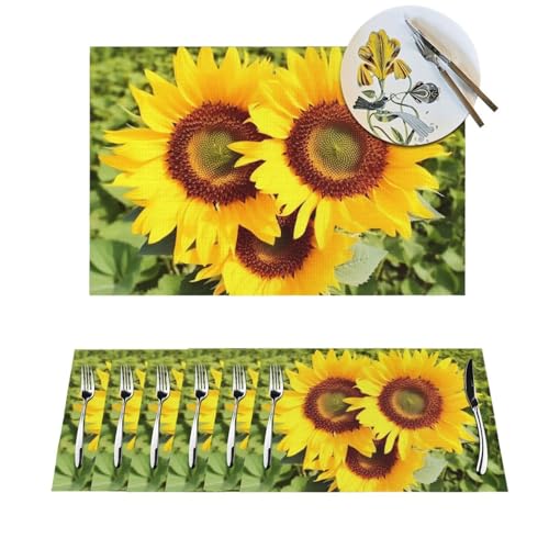 Set de table lavable anti-tache en PVC forme cœur pour table propre sans effort