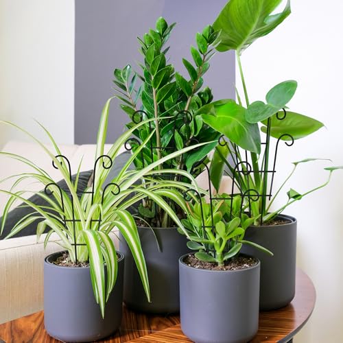 Image of Coomin 14.5in Small Plant Trellis for Climbing Plants Indoor, 2P