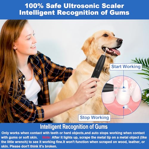 Image of Dog Teeth Cleaning Kit,Dogs Tooth Brushing Kit with Light,3 Modes Doggie Toothbrush, Dog Plaque and Tartar Remover for Teeth,Low Noise Pet Teeth Cleaner,Dark Black
