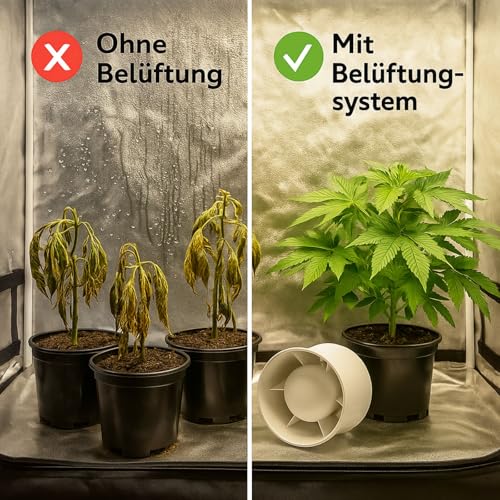 NICEGROW.de Grow Abluft-Set 100 mm Rohrventilator verkabelt Aktivkohlefilter Indoor Growbox 4 NICEGROW.de Grow Abluft-Set 100 mm Rohrventilator verkabelt Aktivkohlefilter Indoor Growbox – Bild 4