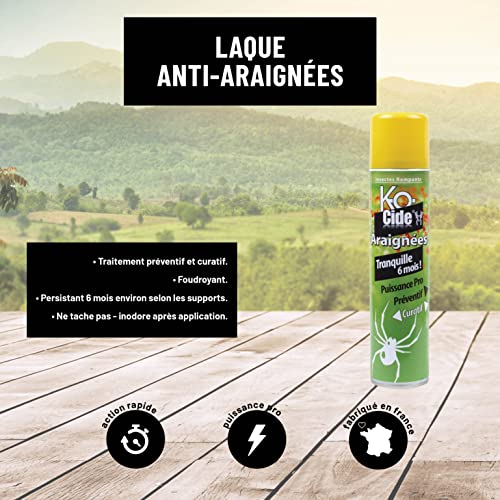 Anti-araignées laque K-OCIDE barrière persistante 6 mois - 2