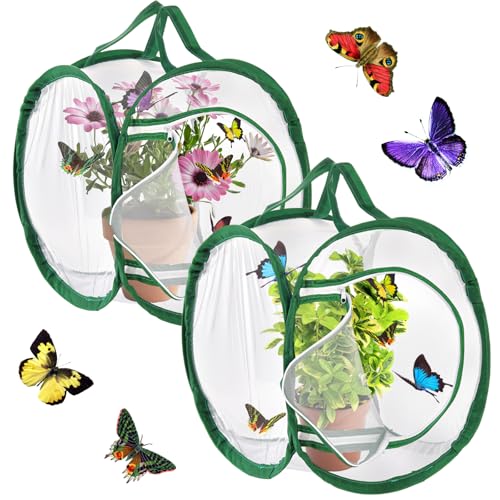 Cage à insectes ZENFUN : la solution pop-up pour protéger et élever vos chenilles - 9