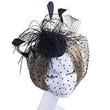 Frcolor Fascinators Hat Hair Clip,Retro Style Bird Cage Mesh Bridal Face Veil Feather Fascinator Headwear for Women(Black)