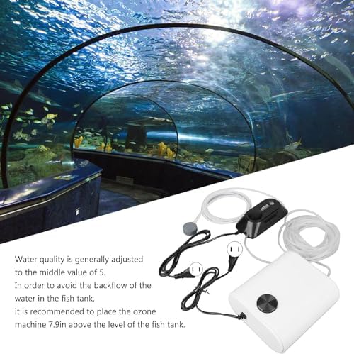 Generatore di ozono per acquario con pompa ad aria, set di filtri per ozono professionale per la purificazione dell'acqua dell'acquario e la rimozione di contaminanti