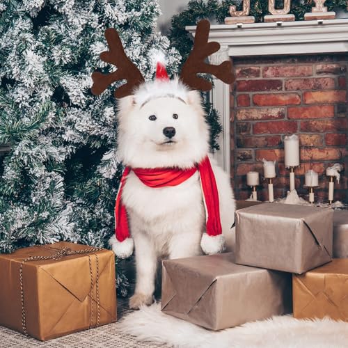 Rentiergeweih Hund, Weihnachten Haustier Stirnband, Verstellbarer Rentier Geweih für Hunde, Rentier Haarreif Hund, Hunde Weihnachtskostüm, für Katzen und Hundes im Winter und zu Weihnachten (A)