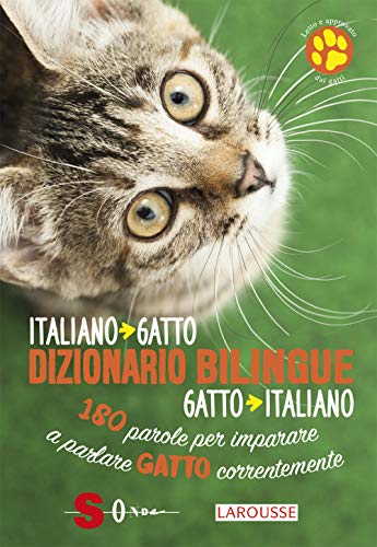 13 Libri Sui Gatti Per Chi Li Ama Davvero
