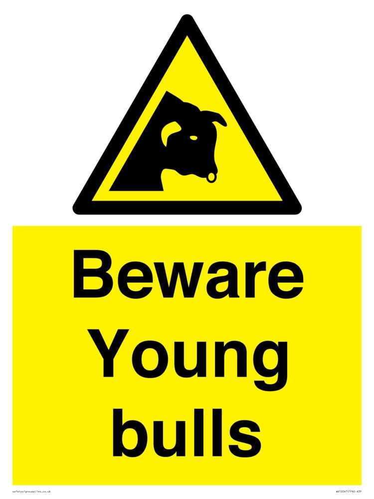 Beware Young bulls Sign - 300x400mm - A3P